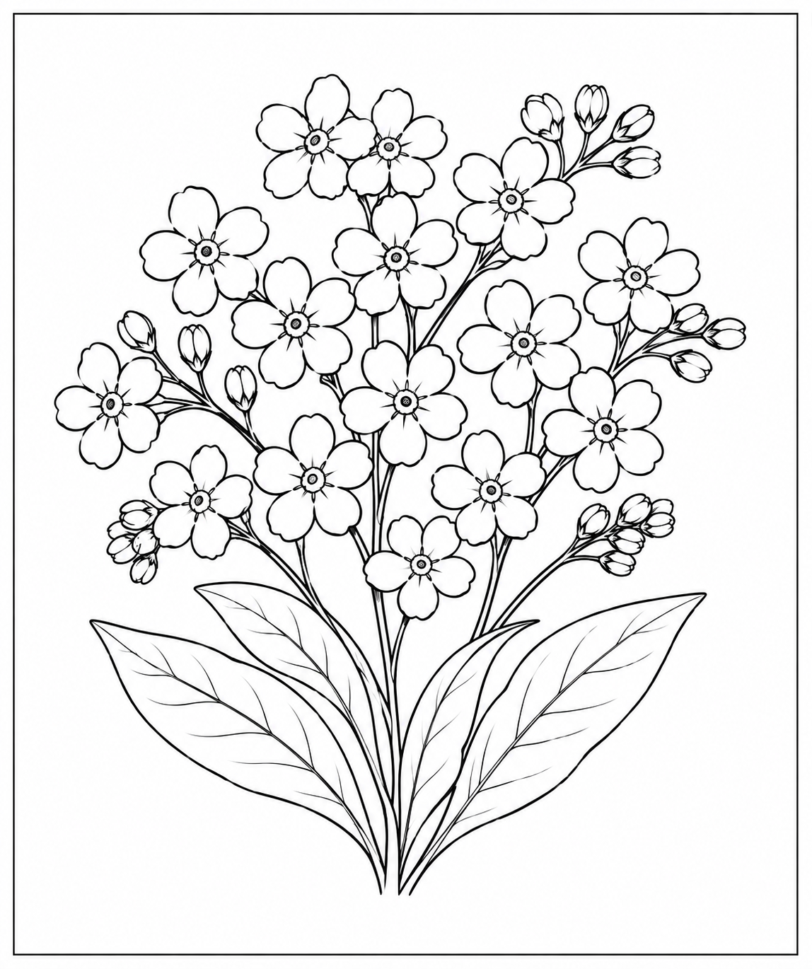 Forget Me Not bouquet line drawing Coloring Page — Free Printable — free printable coloring page